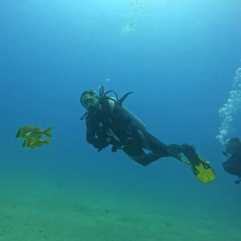 PADI Advanced Open Water Diver 3 Diving-Instructor