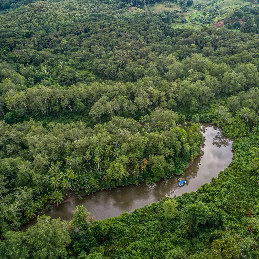 Mangroove Osa Corcovado 1