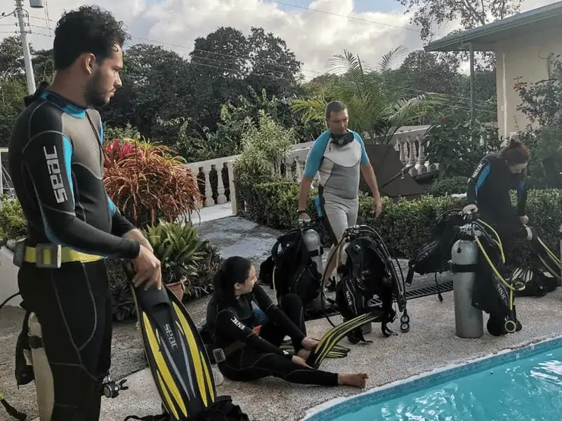 about us diving drake bay 01