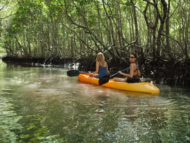 Two travelers kayaking through tropical mangroves near Drake Bay Costa Rica