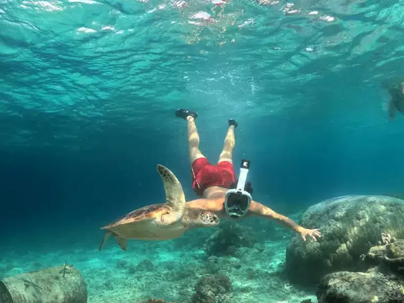 snorkel tortuga 06